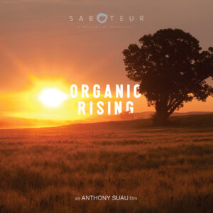 watch organic rising