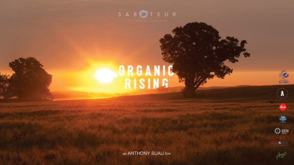watch organic rising